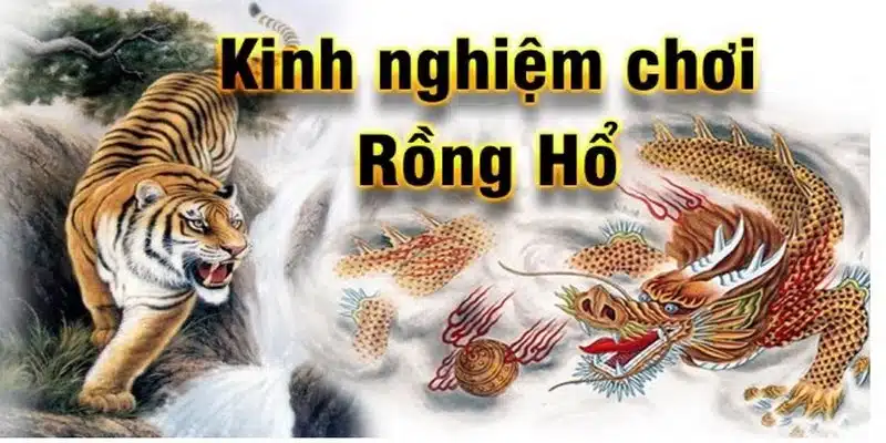 Bật mí mẹo chơi rồng hổ bất khả chiến bại