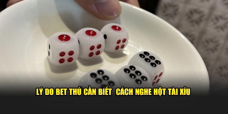 Lý do bet thủ cần biết nghe hột tài xỉu